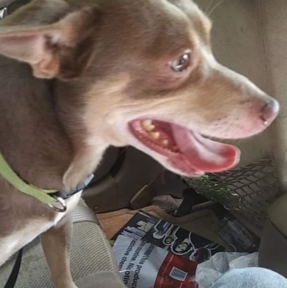 Meet your Posher, Michael - Picture 1 of 1